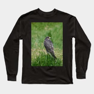 The Peregrine Falcon Long Sleeve T-Shirt